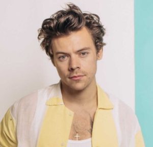 [People Profile] All We Know About Harry Styles Biography: Age, Career, Spouse, Family, Net Worth