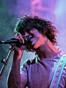 Andrew VanWyngarden Biography: Age, Career, Spouse, Net Worth