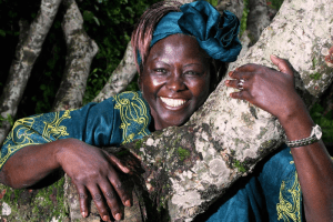Wangari Muta Maathai - The woman of trees, symbol of the struggle to  promote peace [biography]