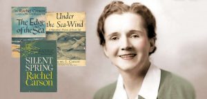 Representation in Environmentalism: Rachel Carson – Pittsburgh Botanic  Garden