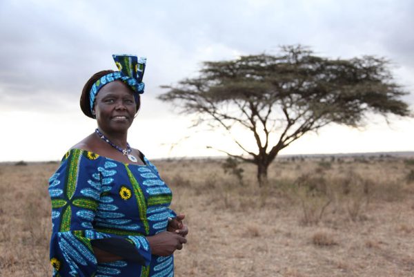 Wangari Maathai: Bio – Nelson Mandela Foundation