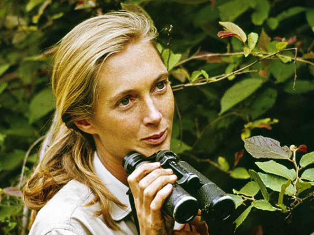 the Jane Goodall Institute Homepage