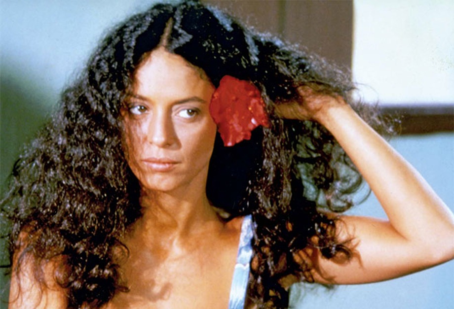 Uma das grandes estrelas do cinema nacional, Sonia Braga comemora 70 anos |  Midiorama
